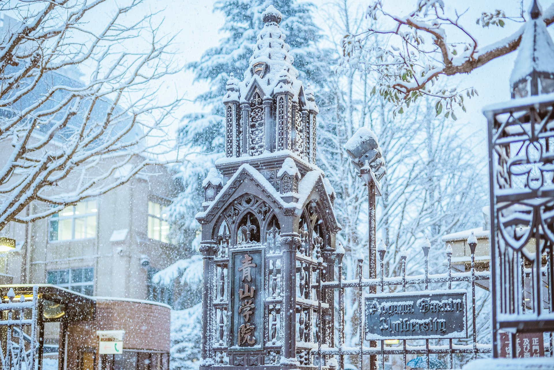 雪のキャンパス