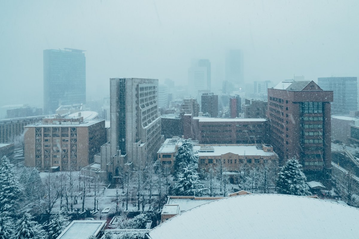 雪のキャンパス